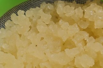 tibi krystaly, probiotika, trávení, imunita, fermentace