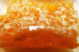 Šílený med, med šílenců, historie, příběh, zajímavost