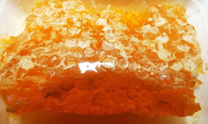 Šílený med, med šílenců, historie, příběh, zajímavost