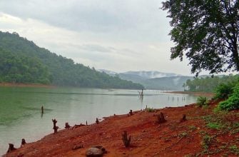 Indie, Ghát, zvíře, zajímavost, cestování