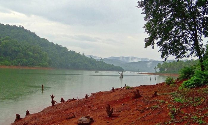 Indie, Ghát, zvíře, zajímavost, cestování