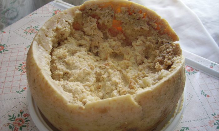 Sýr Casu marzu
