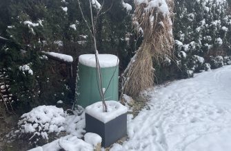Zima