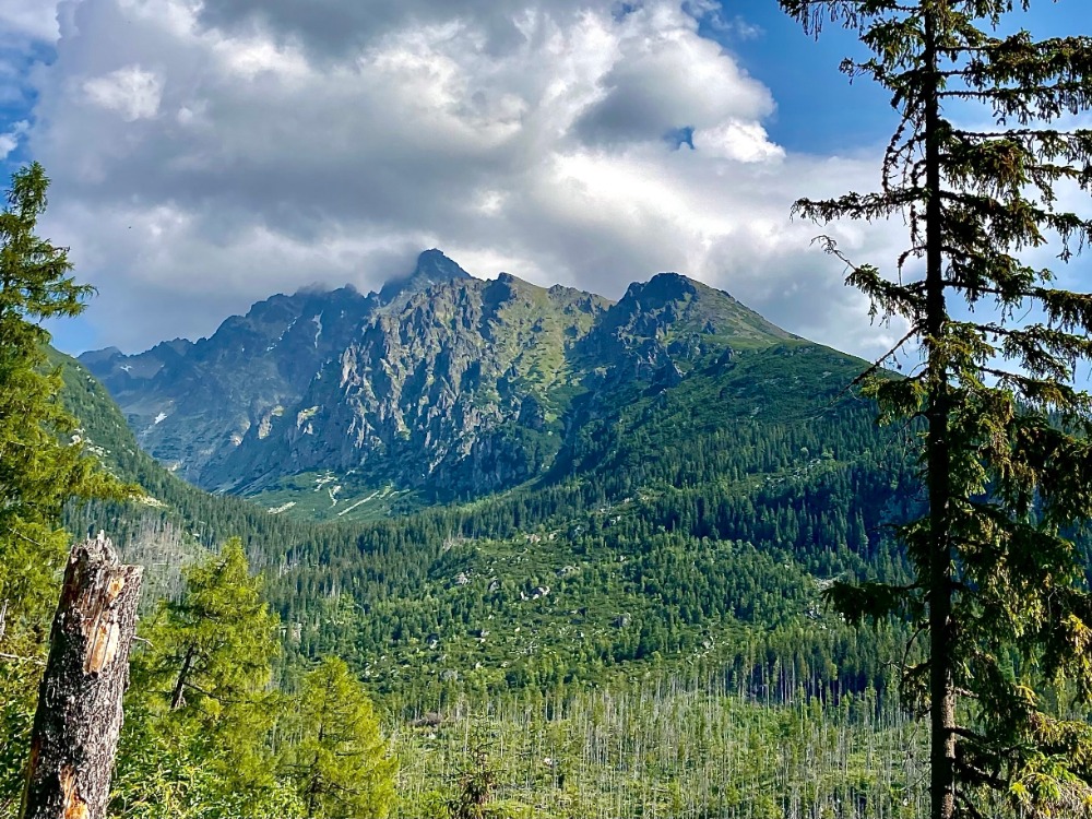 Vysoké Tatry