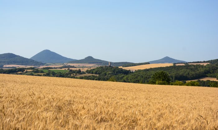 České středohoří