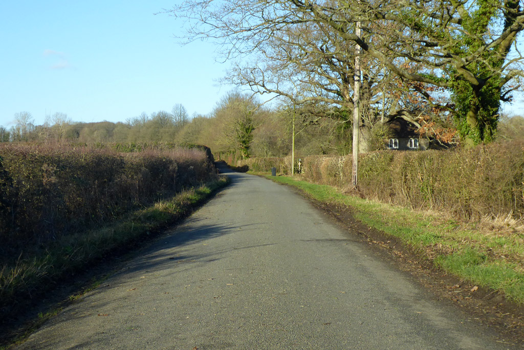 Pluckley