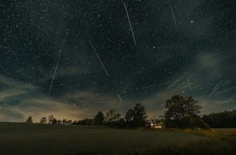 Noctourism