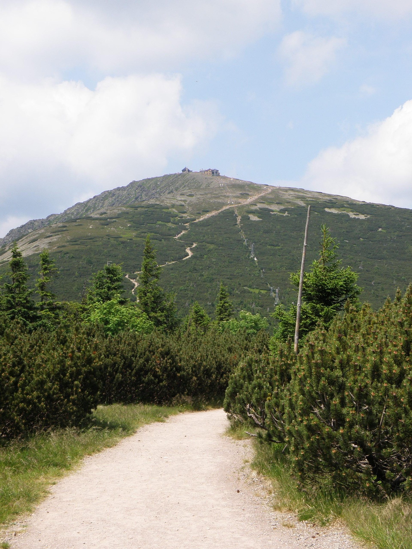 Sněžka