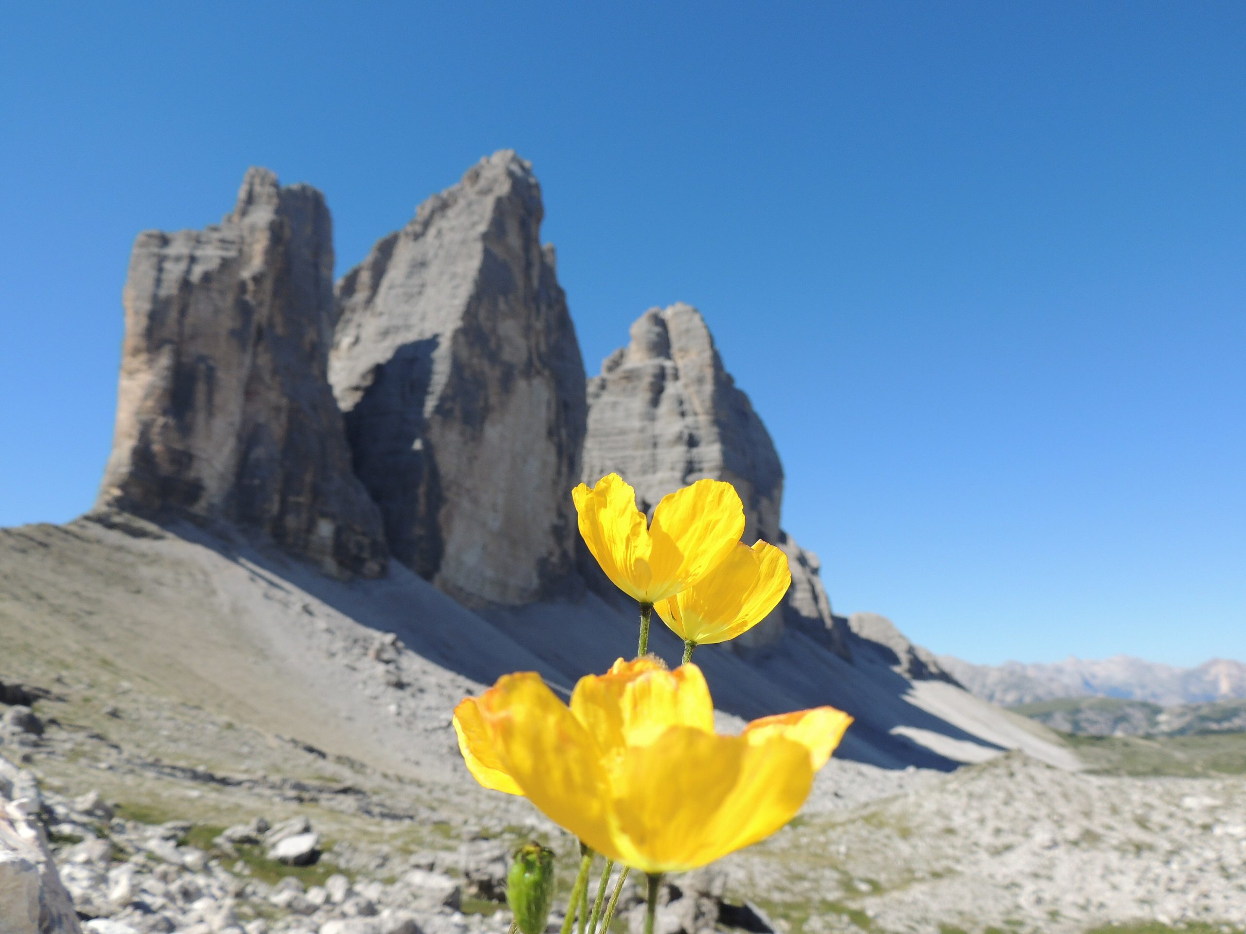 Dolomity