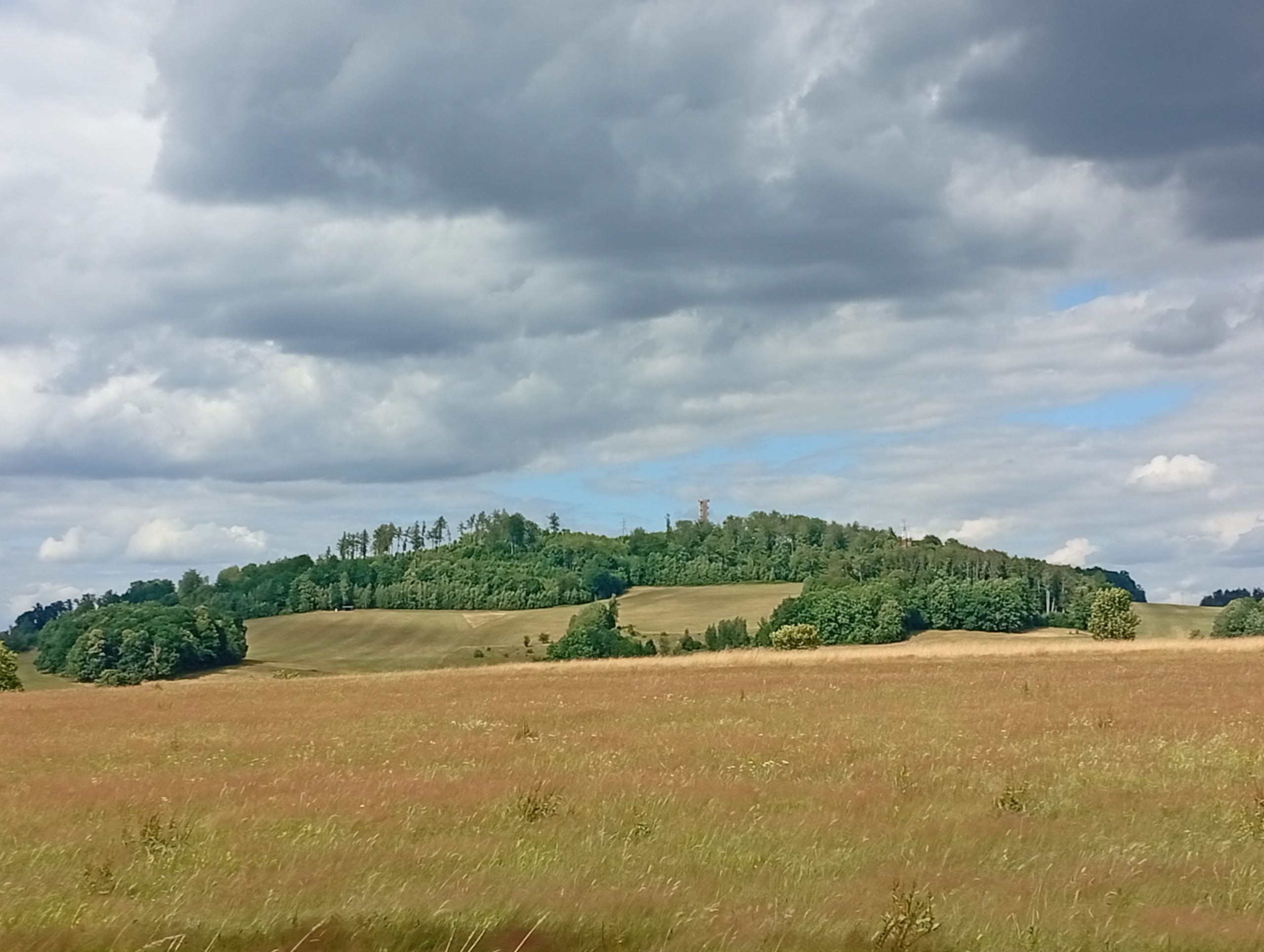 Jitrovník